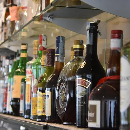 Montreal מלון ביביונה