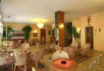 Montreal ביביונה