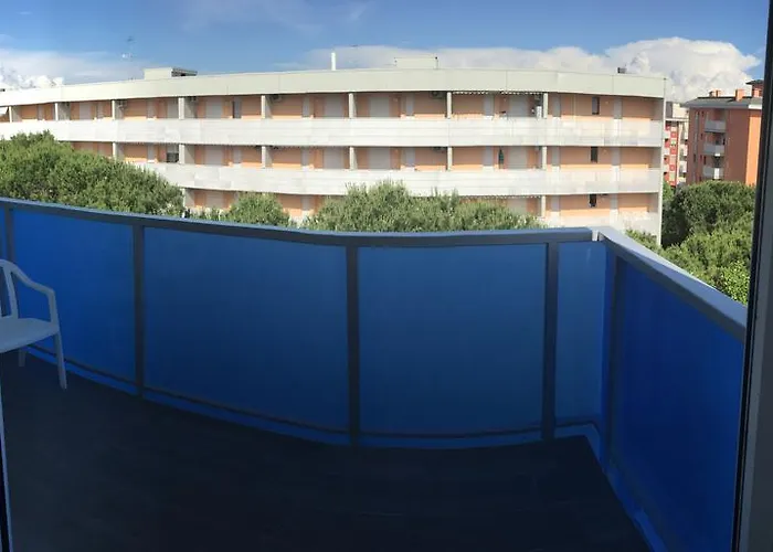 Montreal ביביונה