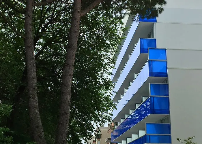 Montreal ביביונה