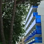 Montreal ביביונה