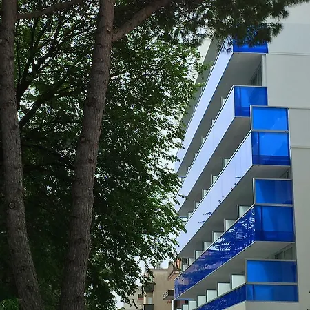 Montreal Бибионе